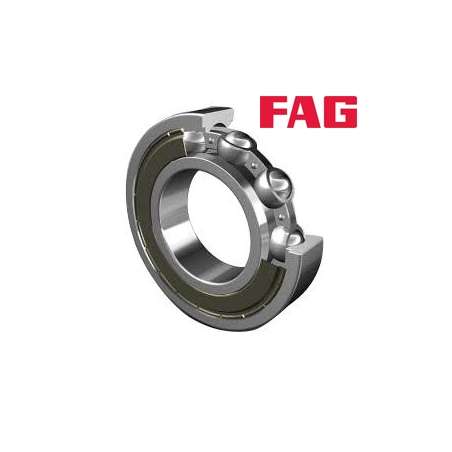 6000-2Z / FAG
