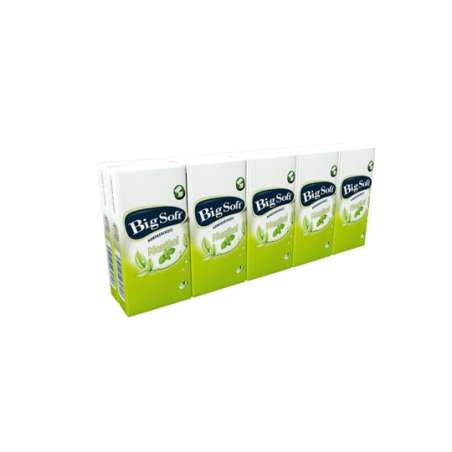 Big Soft hygienické vreckovky Mentol 10x10ks