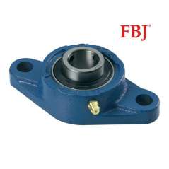 UCFL 203 / FBJ