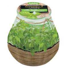 SVIEČKA CITRONELLA TERACCE BAZALKA 2171993