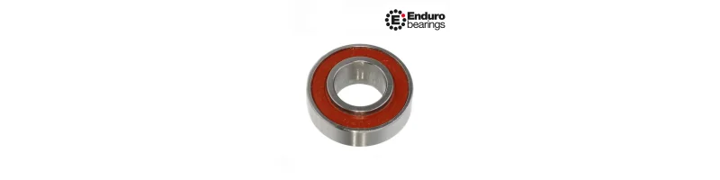 6000 2RS MAX 8-EE ENDURO BEARINGS
